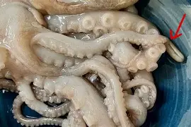 x縮;莖(缩阳症吃什么药)